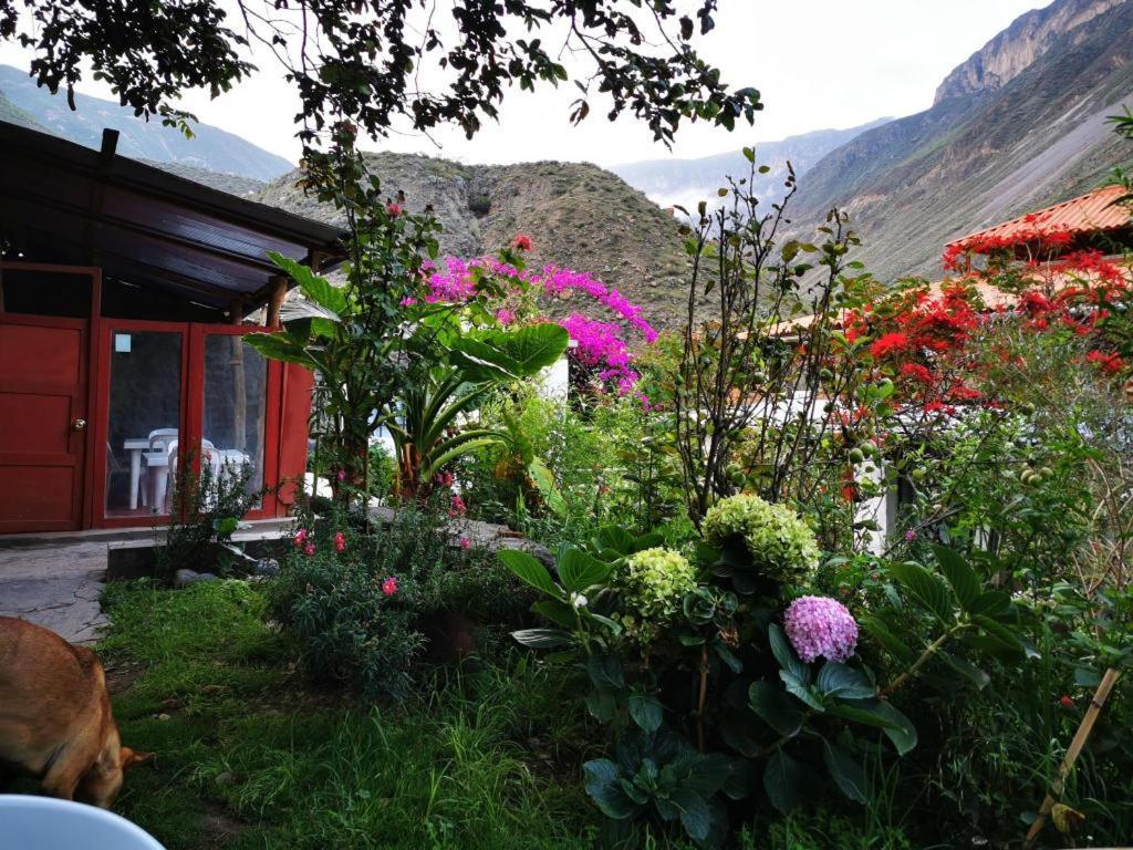 Casa De Virginia Villa Cabanaconde Kültér fotó
